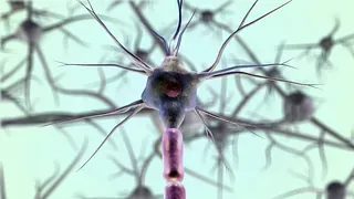 Una imagen generada por computadora de una célula nerviosa rodeada de otras células nerviosas.