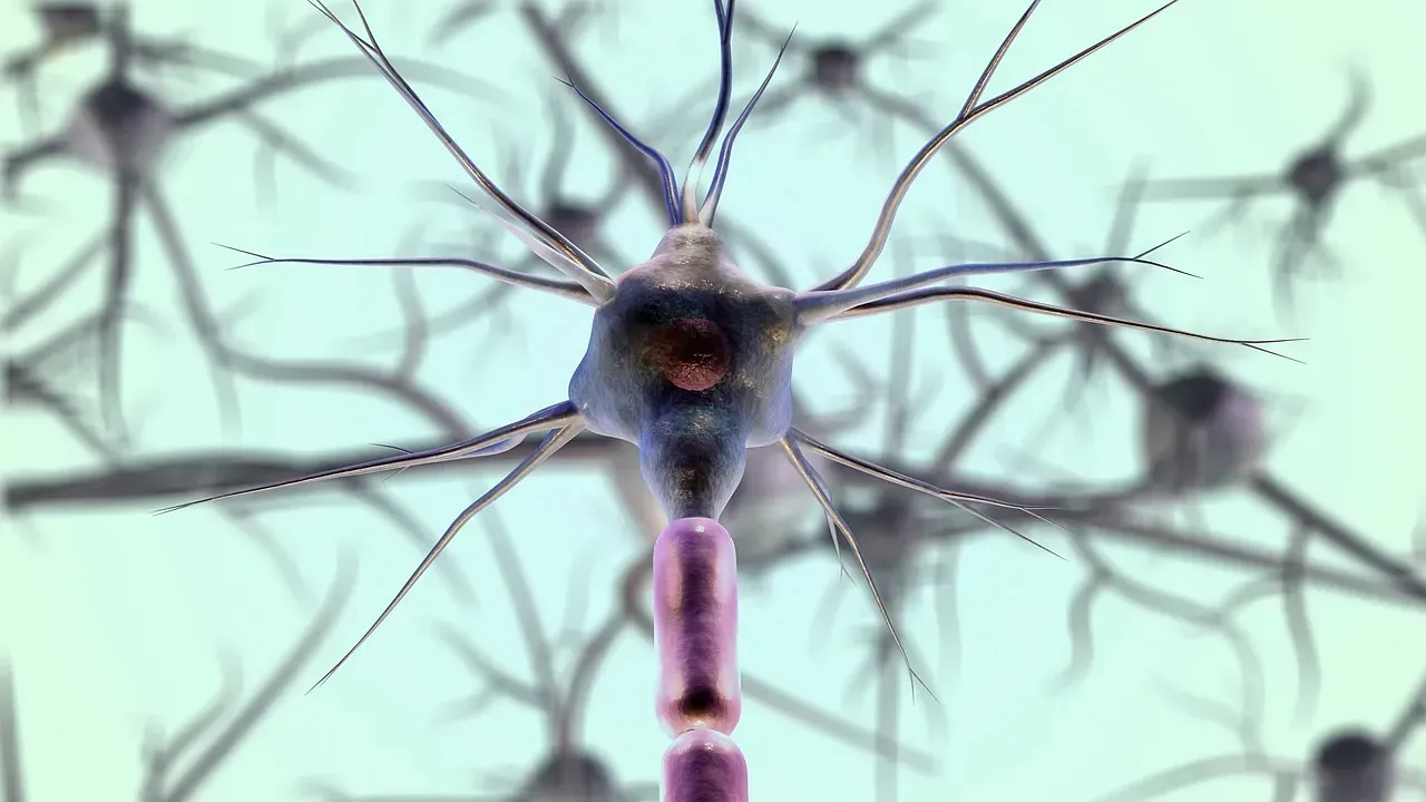 Una imagen generada por computadora de una célula nerviosa rodeada de otras células nerviosas.
