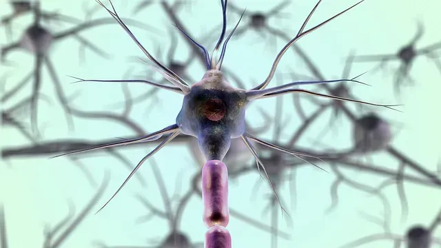Una imagen generada por computadora de una célula nerviosa rodeada de otras células nerviosas.